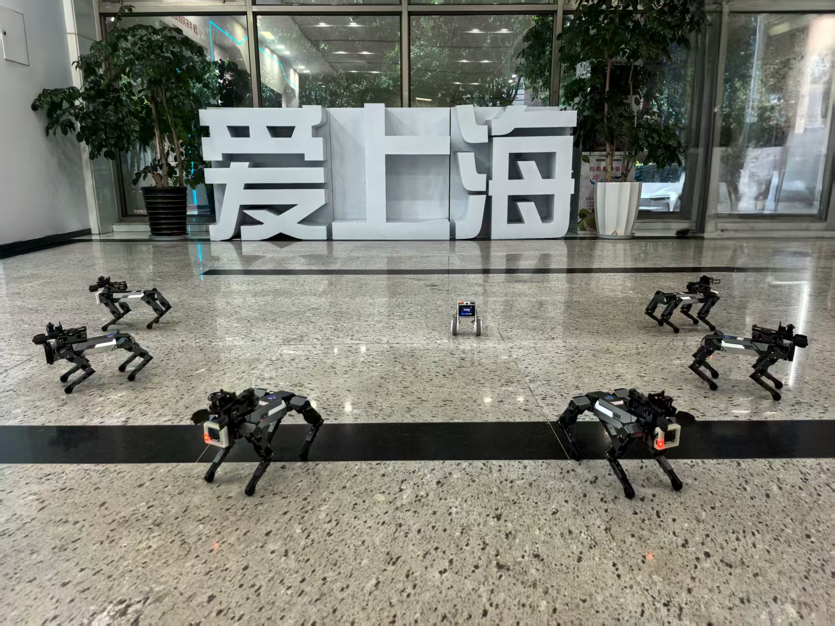 四足機器人及雙輪足機器人群舞表演