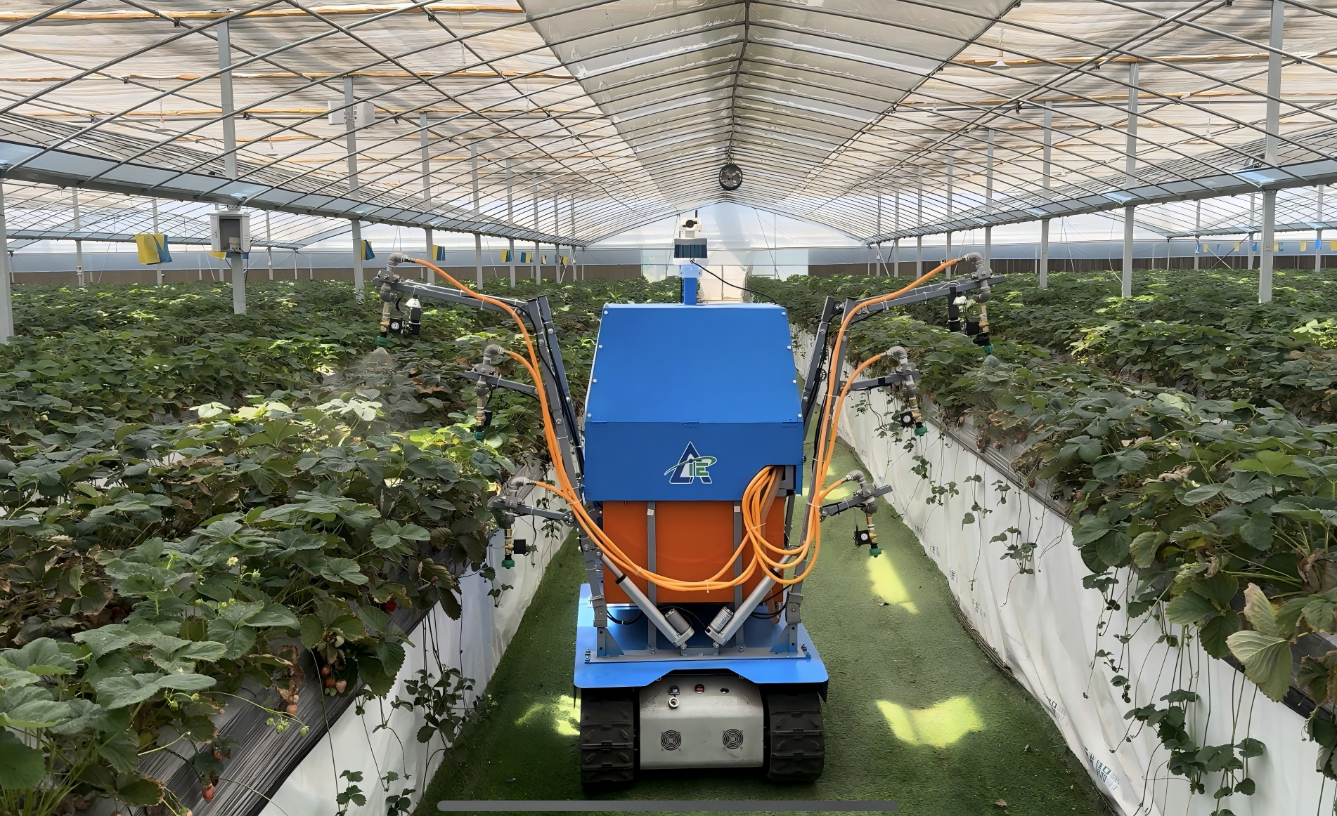 草莓對靶噴藥機器人