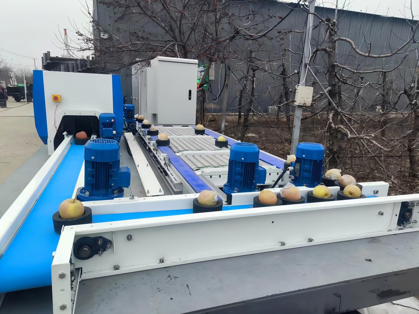 車載果托式小尺徑果蔬品質分級生產線
